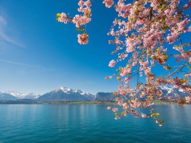 Schoene Ferienwohnung Mit Seeblick Thun Buitenkant foto